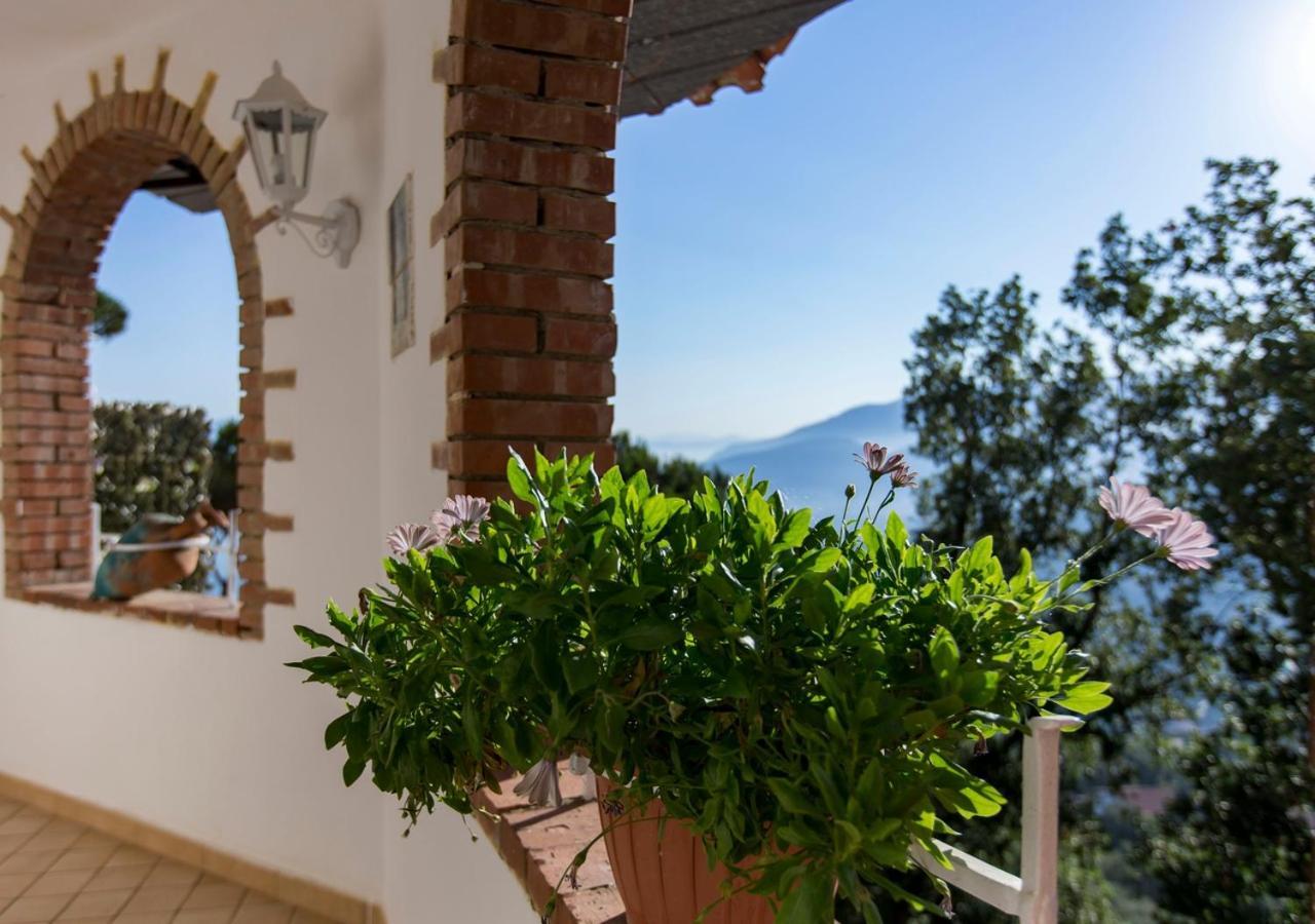 Residence Le Terrazze Sorrento Esterno foto