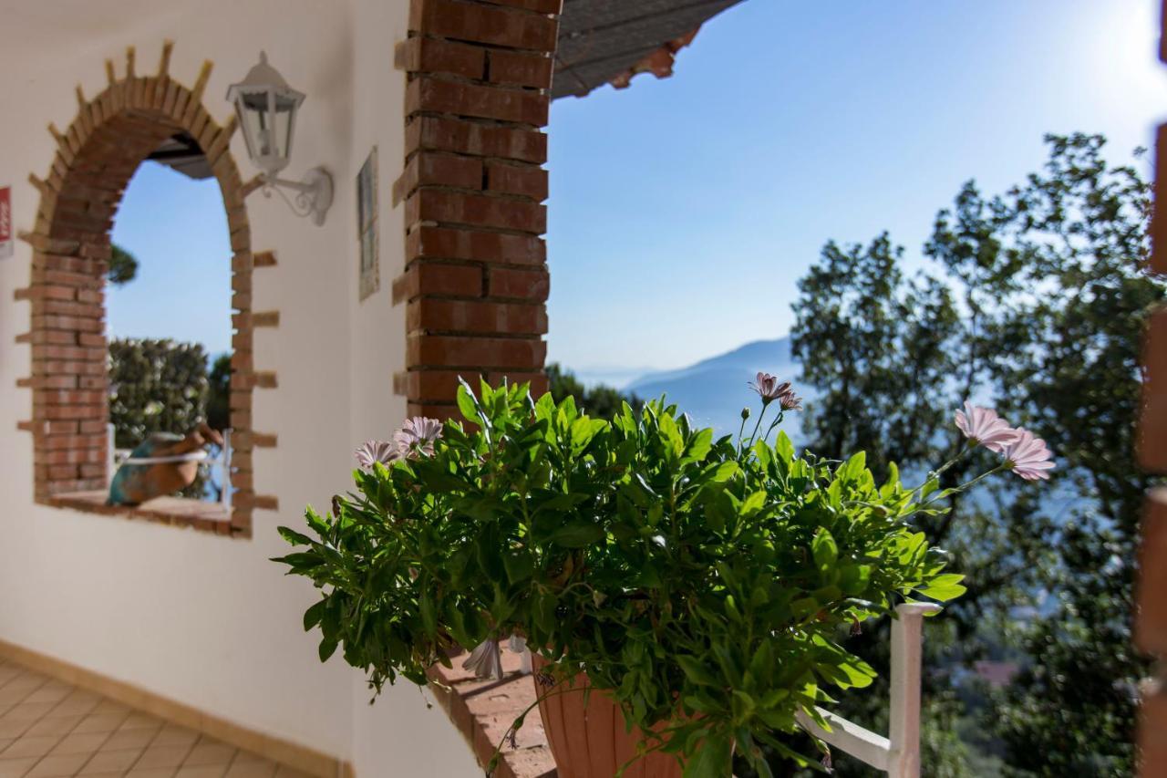 Residence Le Terrazze Sorrento Esterno foto